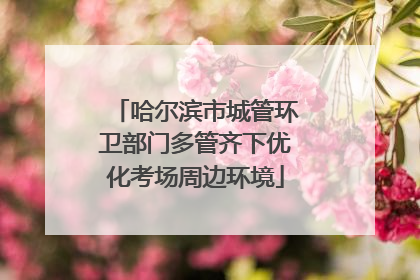哈尔滨市城管环卫部门多管齐下优化考场周边环境