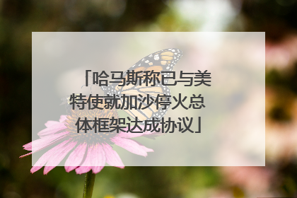 哈马斯称已与美特使就加沙停火总体框架达成协议