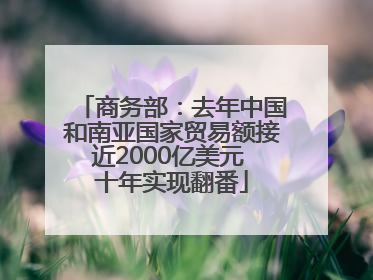 商务部：去年中国和南亚国家贸易额接近2000亿美元 十年实现翻番