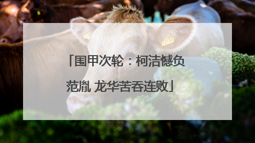 围甲次轮：柯洁憾负范胤 龙华苦吞连败