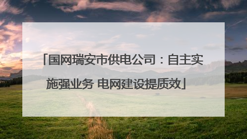 国网瑞安市供电公司：自主实施强业务 电网建设提质效