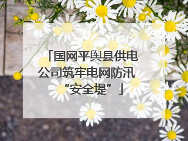 国网平舆县供电公司筑牢电网防汛“安全堤”