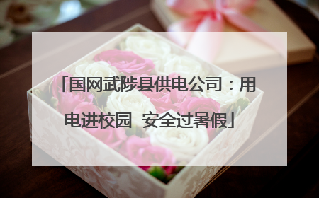 国网武陟县供电公司：用电进校园  安全过暑假