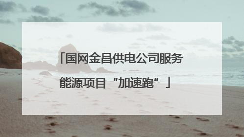 国网金昌供电公司服务能源项目“加速跑”
