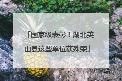 国家级表彰！湖北英山县这些单位获殊荣