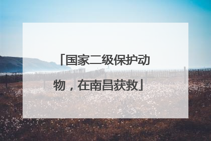 国家二级保护动物，在南昌获救
