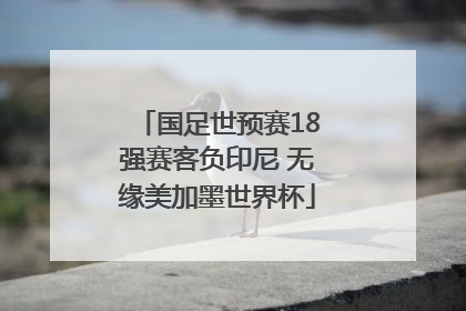 国足世预赛18强赛客负印尼 无缘美加墨世界杯