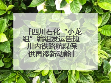 四川石化“小龙组”编组发运告捷 川内铁路航煤保供再添新动能