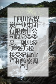 四川省煤炭产业集团有限责任公司原党委委员、副总经理张万松 接受纪律审查和监察调查