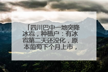 四川巴中一地突降冰雹，种植户：有冰雹第二天还没化，原本葡萄下个月上市，现在全被打落