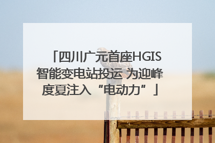四川广元首座HGIS智能变电站投运 为迎峰度夏注入“电动力”