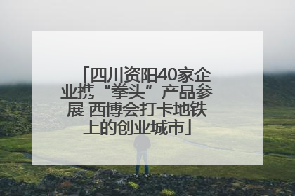 四川资阳40家企业携“拳头”产品参展 西博会打卡地铁上的创业城市