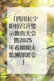 四川长宁职校召开警示教育大会暨2025年春期期末监测部署会