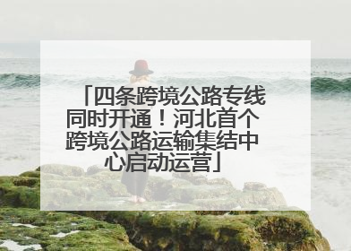 四条跨境公路专线同时开通！河北首个跨境公路运输集结中心启动运营