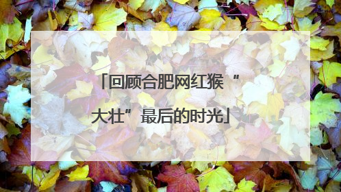 回顾合肥网红猴“大壮”最后的时光