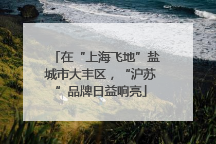 在“上海飞地”盐城市大丰区，“沪苏”品牌日益响亮