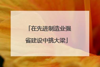 在先进制造业强省建设中挑大梁