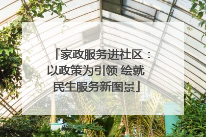 家政服务进社区：以政策为引领 绘就民生服务新图景
