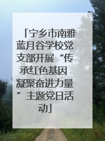 宁乡市南雅蓝月谷学校党支部开展“传承红色基因 凝聚奋进力量”主题党日活动