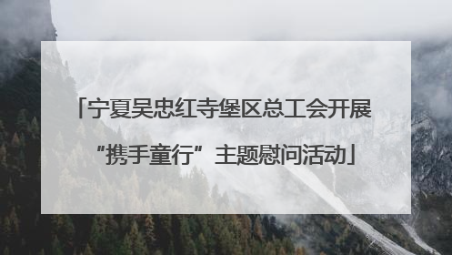 宁夏吴忠红寺堡区总工会开展“携手童行”主题慰问活动