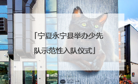 宁夏永宁县举办少先队示范性入队仪式