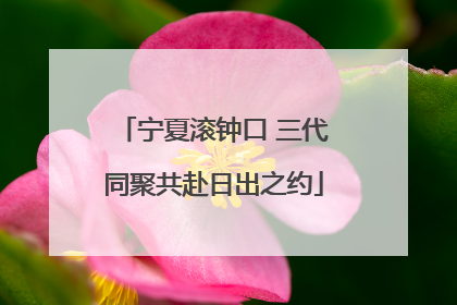 宁夏滚钟口 三代同聚共赴日出之约