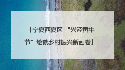 宁夏西夏区 “兴泾黄牛节”绘就乡村振兴新画卷