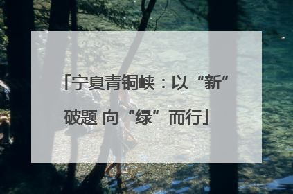 宁夏青铜峡：以“新”破题 向“绿”而行