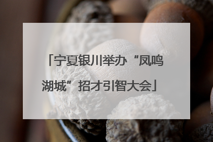 宁夏银川举办“凤鸣湖城”招才引智大会