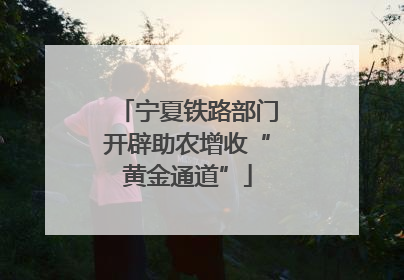 宁夏铁路部门开辟助农增收“黄金通道”