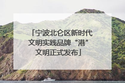 宁波北仑区新时代文明实践品牌“港”文明正式发布