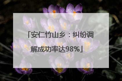 安仁竹山乡：纠纷调解成功率达98%