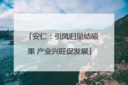 安仁：引凤归巢结硕果 产业兴旺促发展