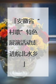 安徽省“村歌”特色展演活动走进皖北水乡