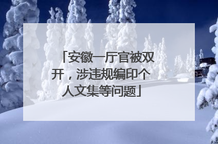 安徽一厅官被双开，涉违规编印个人文集等问题