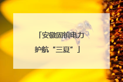 安徽固镇电力护航“三夏”