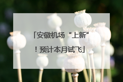安徽机场“上新”！预计本月试飞