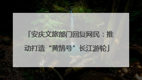 安庆文旅部门回复网民：推动打造“黄鹄号”长江游轮