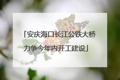 安庆海口长江公铁大桥力争今年内开工建设
