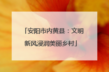 安阳市内黄县：文明新风浸润美丽乡村