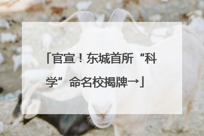 官宣！东城首所“科学”命名校揭牌→