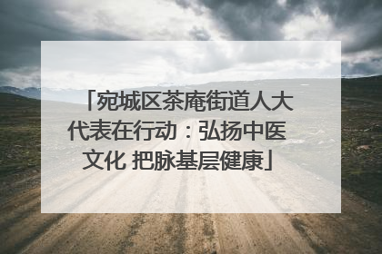 宛城区茶庵街道人大代表在行动：弘扬中医文化 把脉基层健康