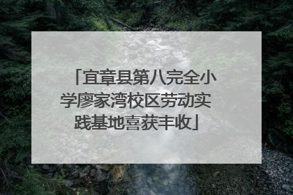 宜章县第八完全小学廖家湾校区劳动实践基地喜获丰收