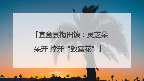 宜章县梅田镇：灵芝朵朵开 撑开“致富花”