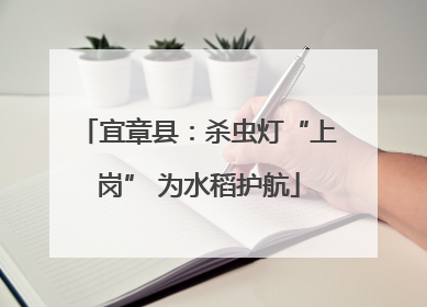 宜章县：杀虫灯“上岗” 为水稻护航