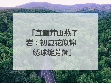 宜章莽山燕子岩：初夏花似锦 绣球绽芳颜