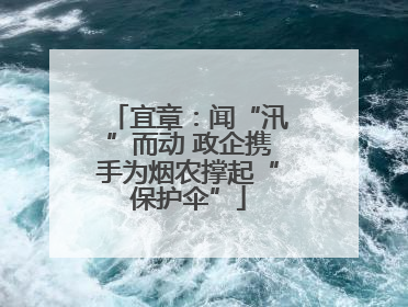 宜章：闻“汛”而动 政企携手为烟农撑起“保护伞”