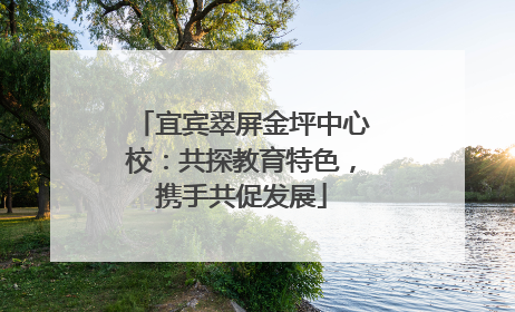 宜宾翠屏金坪中心校：共探教育特色，携手共促发展