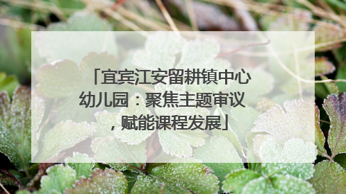 宜宾江安留耕镇中心幼儿园：聚焦主题审议，赋能课程发展