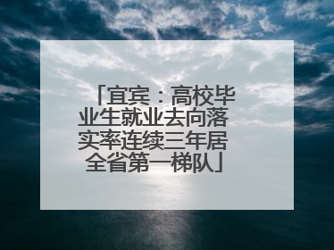 宜宾：高校毕业生就业去向落实率连续三年居全省第一梯队
